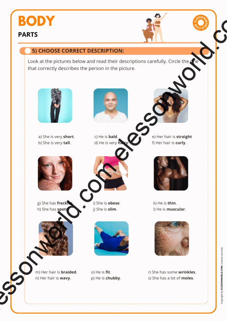 Beginner ESL lesson on basic body parts vocabulary with pictures