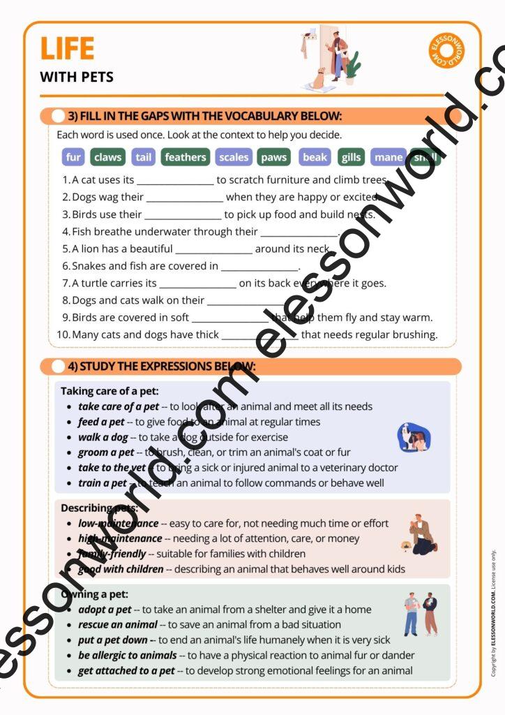Life with Pets | ESL Vocabulary & Speaking ESL Lesson (A2-B1)