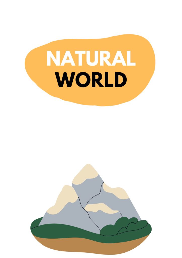 Natural In Word Form A1–A2 ESL Lesson: Nature Vocabulary