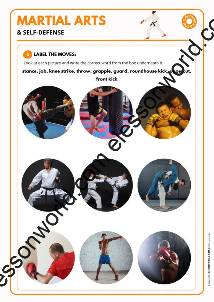 B1-B2 ESL lesson plan teaching martial arts and self-defense vocabulary through games and speaking practice